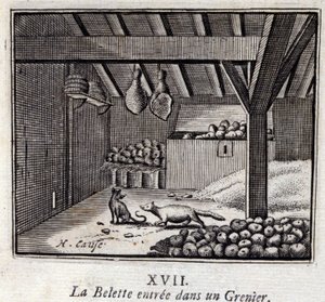 La Weasette entrou num Grenier. Fábulas de Jean de La Fontaine (1621-95). Ilustração de François Chauveau (1613-1676). Edição de 1728. de Francois Chauveau