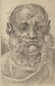 Floresta. de Francois Chauveau