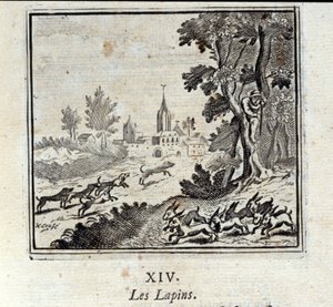 Coelhos. Fábulas de Jean de La Fontaine (1621-95). Ilustração de François Chauveau (1613-1676). Edição de 1728. de Francois Chauveau