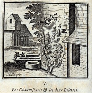 O Morcego e as duas doninhas. Fábulas de Jean de La Fontaine (1621-95). Ilustração de François Chauveau (1613-1676). Edição de 1728. de Francois Chauveau