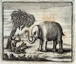 O Elefante e o Macaco de Júpiter. Fábulas de Jean de La Fontaine (1621-95). Ilustração de François Chauveau (1613-1676). Edição de 1728.