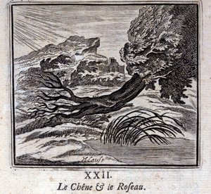 O Carvalho e o Reed. Fábulas de Jean de La Fontaine (1621-95). Ilustração de François Chauveau (1613-1676). Edição de 1728. de Francois Chauveau