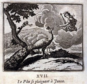 O Pavão a queixar-se a Junon. Fábulas de Jean de La Fontaine (1621-95). Ilustração de François Chauveau (1613-1676). Edição de 1728. de Francois Chauveau