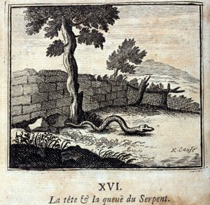 A cabeça e a cauda da Serpente. Fábulas de Jean de La Fontaine (1621-95). Ilustração de François Chauveau (1613-1676). Edição de 1728. de Francois Chauveau
