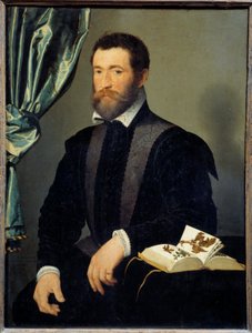 Retrato do boticário Pierre Quthe (1519-apres 1588) Pintura de François Clouet (1515-1572) 1562 Sol. 0,91x0,7 m - Retrato do boticário Pierre Quthe (1519- ca1588). Pintura de François Clouet (1515-1572) de François Clouet