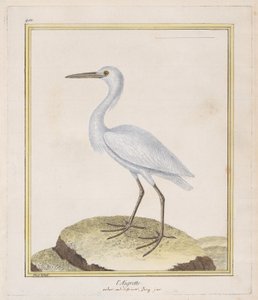 Floresta. de Francois Nicolas Martinet