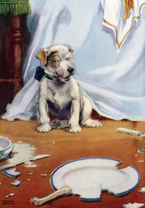 Cão com placa quebrada de Frank Adams