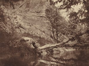 Margem do rio, c. 1855 (foto)