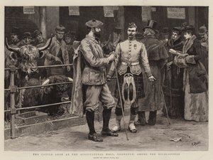 O Show de gado no Salão Agrícola, Islington, entre os Highlanders