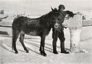 Gran Com Mula Lal Khan, c1911, 1913 de Frank Debenham