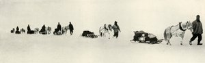 Pôneis em março de 1911, 1913 de Frank Debenham