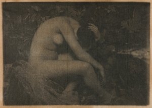 A cigarra