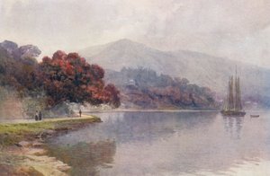 Nova Zelândia: Pohutukawa in Bloom, Whangaroa Harbour (litografia a cores) de Frank H Wright