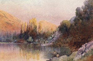 Nova Zelândia: A Piscina de Banho (litografia a cores) de Frank H Wright
