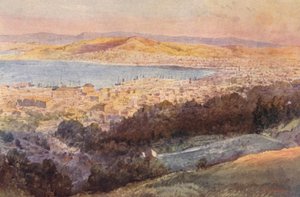 Nova Zelândia: Wellington (litografia a cores) de Frank H Wright