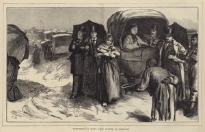 Sight-Seeing, um estudo da Nature at Mortlake