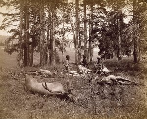 Elk Hunters, Yellowstone, c.1880 (impressão em prata albumina)