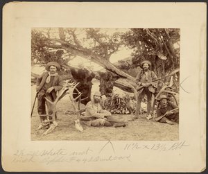 Festa de Lispenard Stewart, #6 - 5th Ave., N.Y. com troféus junto a um velho cedro, Mammoth Hot Springs, Parque Nacional de Yellowstone de Frank Jay Haynes