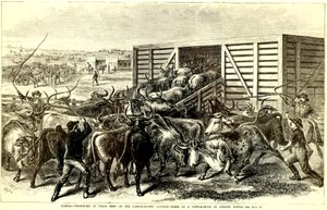 Cattle Chute in Abilene, Kansas, c. 1871 (gravura)