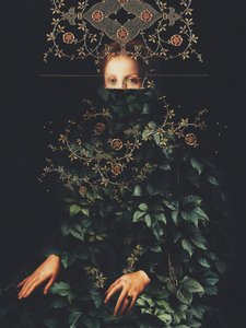 «Patience II», de Frank Moth