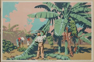 Corte de bananas na Jamaica (litografia a cores)