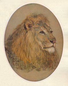 Cabeça do Lions, c1896