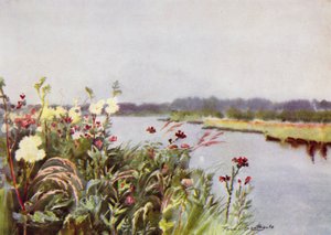 Norfolk Broads: A Bure Bank (cor litho)