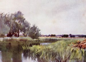 Norfolk Broads: Marsh Hay - Carting on the Yare de Frank Southgate