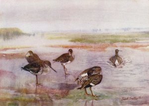 Norfolk Broads: Redshank (cor litho) de Frank Southgate