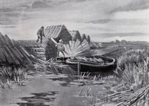 Norfolk Broads: Reed-Stacking (litho) de Frank Southgate