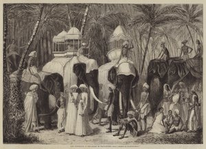 Os elefantes do rajá de Travancore de Frank Vizetelly