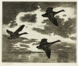 paisagem de Frank Weston Benson