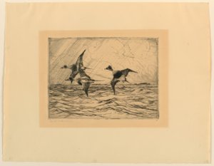 paisagem de Frank Weston Benson