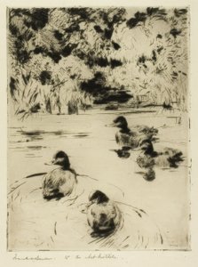 paisagem de Frank Weston Benson