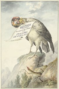 Abutre com uma folha de papel no seu bico
HISTOIRE NATURELLE DES OISEAUX DAFRIQUE (título sobre o objecto) de François Levaillant (circle of)