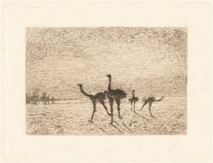 Avestruzes no deserto de François Nicolas Auguste Feyen Perrin