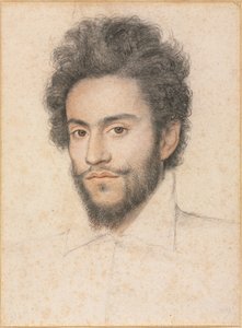 Jovem com uma barba, século XVII.
