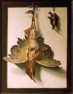Trompe d&39;oeil com pássaros mortos de Frans Cuyck van Meyerop
