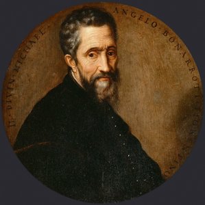 Michelangelo Buonarroti it Michel-Ange de Frans Floris