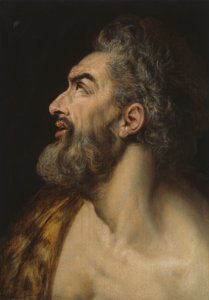Floresta. de Frans Floris