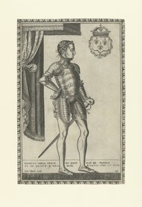 Retrato do rei Carlos IX da França 1550-1574, 1560s de Frans Huys