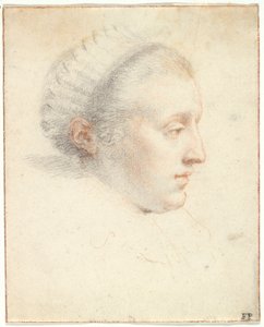 Retrato de perfil de uma senhora (giz preto & vermelho com guache sobre papel) de Frans II Pourbus