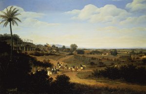 Vista Panorâmica no Brasil (par de 61466) de Frans Post