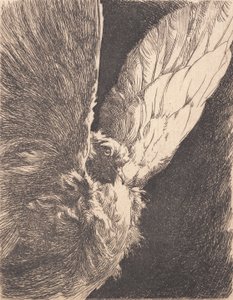 vencimento de Frans Schwartz