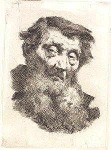 Velho com barba grisalha em duas partes de Frans Schwartz