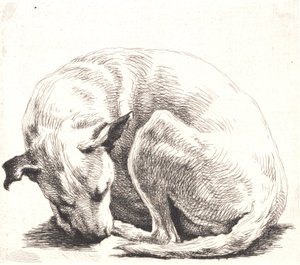 Prato de amostra: um cachorro de Frans Schwartz