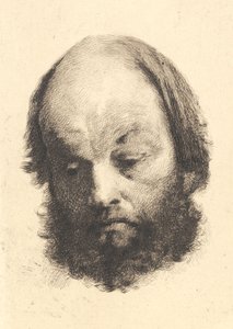 Homem Barba Negra, Garibaldi de Frans Schwartz