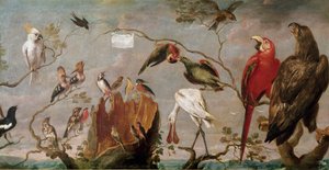 Pintura de Concerto de Aves de Frans Snyders (Snijders) (1579-1657) Século XVII Madrid, Museu do Prado