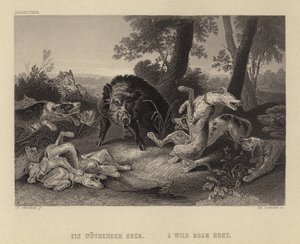 Uma caça ao javali de Frans Snyders or Snijders