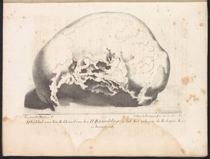 Crânio de São Rumoldus, 1825
Imagem do osso pélvico de São Rumoldus como no Baú Relíquico (título sobre o objecto)